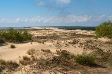 Fototapeta na wymiar View of Staroderevenskaya dune from the height of Efa (Walnut Dune) and the Baltic Sea in the background on a sunny summer day, Curonian Spit, Kaliningrad region, Russia