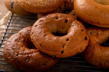 Variety of freshly baked bagels on a cooling rack