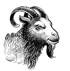 Goat head. Hand-drawn ink on paper black and white illustration