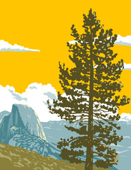 WPA poster art of Half Dome viewed from Glacier Point at the eastern end of Yosemite Valley in Yosemite National Park, California USA done in works project administration or Art Deco style. - 598474180