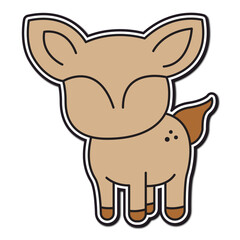 
kangaroo