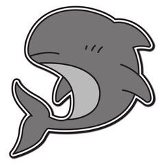 shark illustration