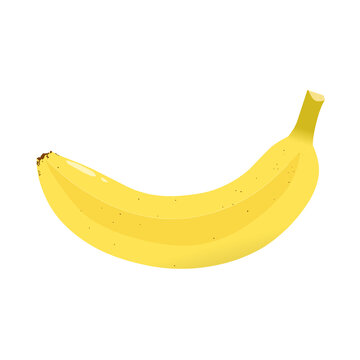 Yellow banana illustration can be used for symbols, icon or element 