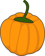 vegetables illustration, vector, healthy, organic, green, carrot, fruit, collection, design