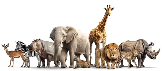 African animals isolated on white background. Generative art. © Cheport