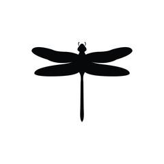 dragonfly icon vector