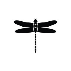 dragonfly icon vector