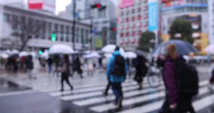 People Crossing A Crossroad On A Rainy Day In Tokyo, Japan, Stock Photo,  Picture And Royalty Free Image. Pic. ALF-133201605