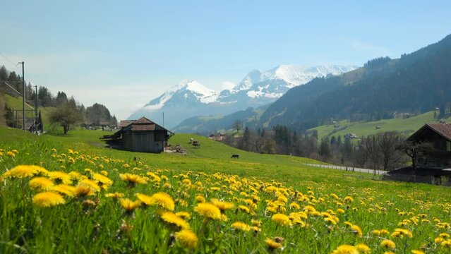 Amazing landscape wallpaper scenery during spring time in Switzerland with flower bloom, 4K hi quality footage Generative AI
