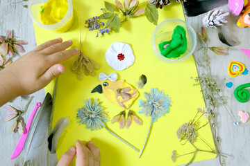 Autumn crafts with natural dry flowers, grass, leaves. Creating butterfly, sun, heart from plasticine.