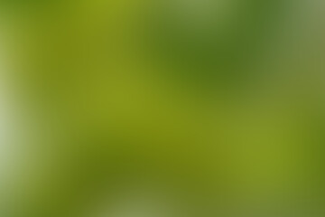 Blurred gradient abstract background, green gradient background, business background for banners and advertisements, premium background.