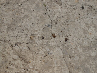 texture of a crack in concrete
