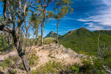 Fototapeta na wymiar Mount Barney National Park landscape