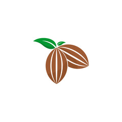 Cocoa Beans Flat Icon On White Background