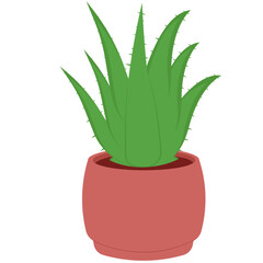 Aloe Vera Plant Illustration