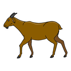 goat vector illustration