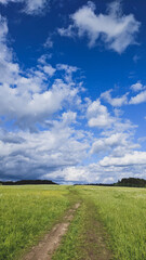 Fototapeta na wymiar Green sunny meadow and beautiful cloudy sky, vertical photo