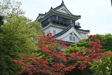 Japan sightseeing trip. 'Okazaki castle'. Okazaki city Aichi prefecture. Famous for being the birthplace of Tokugawa Ieyasu, the shogun who unified Japan.