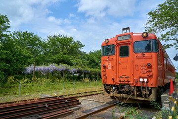 藤棚と赤いキハ40　小湊鉄道　里見駅