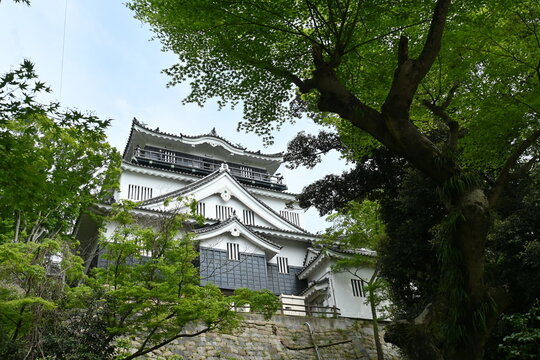 Japan sightseeing trip. 'Okazaki castle'. Okazaki city Aichi prefecture. Famous for being the birthplace of Tokugawa Ieyasu, the shogun who unified Japan.