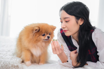 Beautiful asian woman's eyes glowed with warmth and affection as she gazed at her furry dog.