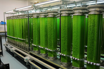 Tubular Algae Bioreactors Fixing CO2 To Produce Biofuel - obrazy, fototapety, plakaty