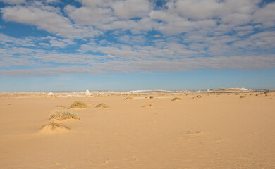 Fototapeta na wymiar Barren desert landscape in hot climate with rock formations
