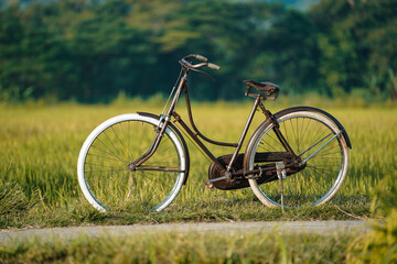 classic onthel bicycles that are displayed on village roads around the rice fields