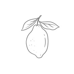 Lemon Brunch Hand Drawn Sketch