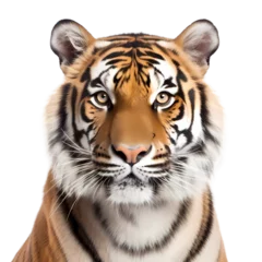 Zelfklevend Fotobehang  tiger isolated © Lucas