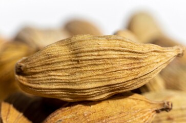 Macro of Cardamon or Cardamom in Horizontal Orientation