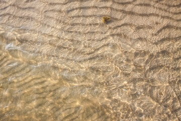 Sandy beach surface. Wet sand