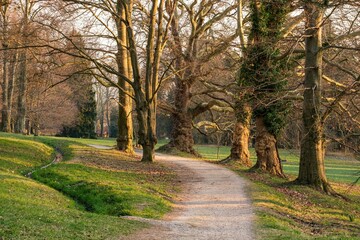 Fototapeta premium Walkway Lane Path With Green Trees in Forest. Beautiful Alley, road In Park. Pathway, natural tunnel, Way Through Spring Forest. 
