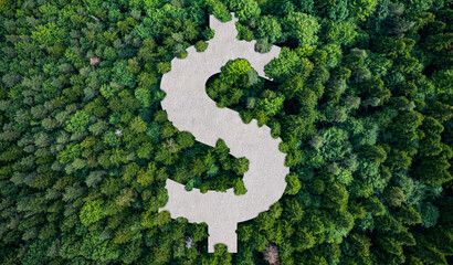 Dollar sign on top view of forest.