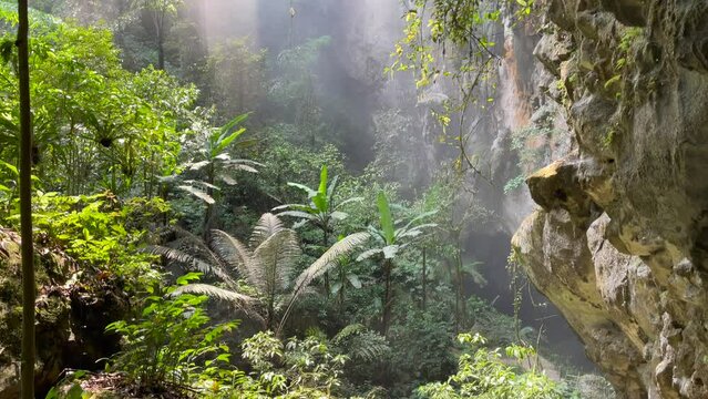 Beautiful sunbeam shining to misty cave entrance of Son Doong the biggest cave in the world