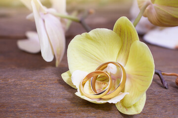 Golden wedding rings on yellow orchid on wooden table. Wedding ceremony, honeymoon, marriage proposal, Valentine's day in hot countries. Copy space