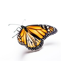 tiger swallowtail on white - ai generated