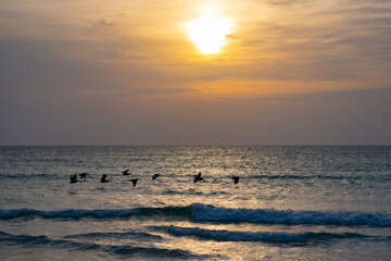 idyllic seascape nature at sunrise. summer seascape nature at sunrise. seascape nature