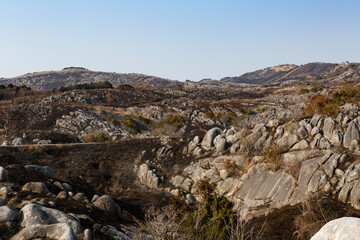 野焼き直後の平尾台　福岡県北九州市