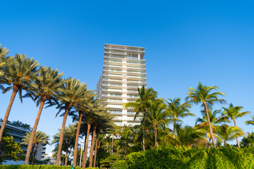 Fototapeta na wymiar skyscraper architecture in miami with palm trees. photo of skyscraper architecture building.