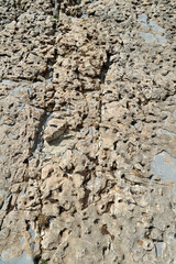 Roches calcaires avec éponges pétrifiées à Petradolakia près d'Anogia en Crète