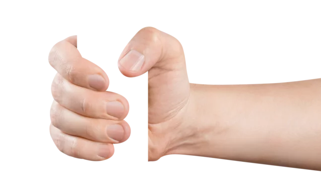 Hand holding something cut out