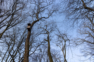 wooden birdhouse on tree branches in the spring season