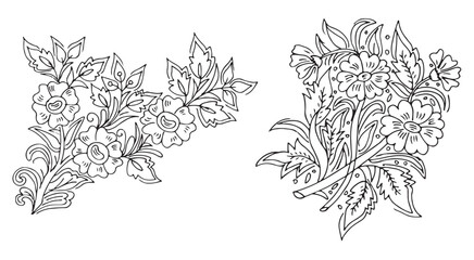 Hand drawn flower illustration file 