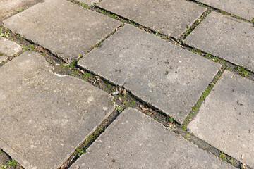 part of the old decorative road in the park for walking