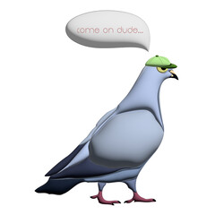 pigeon with hat