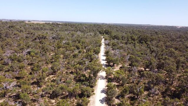Aerial Descending View Over Bushland Walking Track, Heritage Trail, Perth