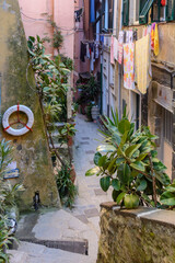 Enge Gasse in Vernazza, Italienische Riviera, Cinque Terre, Ligurien, Italien