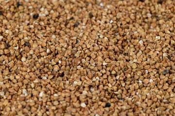 natural ecological grown buckwheat, close up