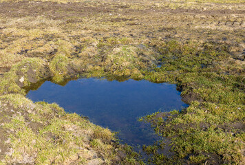 Obraz premium puddles on an agricultural field after rains and snowmelt